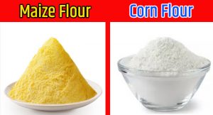 कॉर्नफ्लोर खाने के 10 बेहतरीन फायदे - Corn Flour in Hindi Meaning