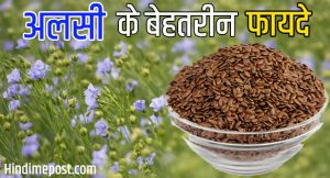 अलसी के खाने 15 बेहतरीन फायदे - Flax Seeds in Hindi Meaning