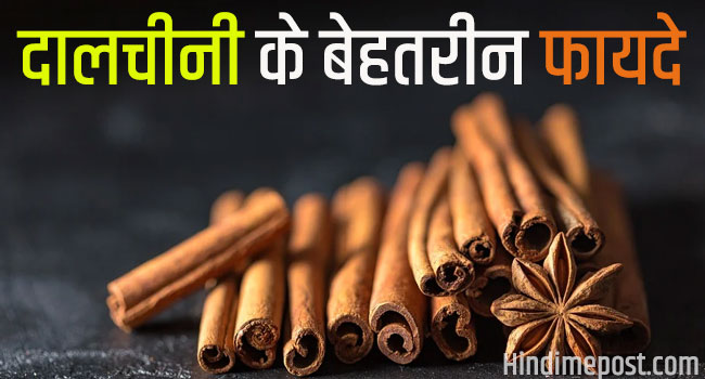 15-cinnamon-in-hindi-meaning