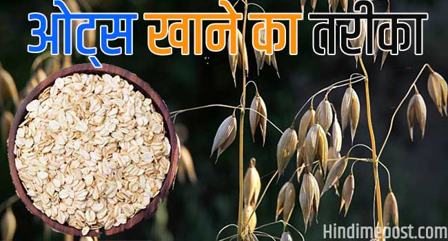 oats meaning in hindi