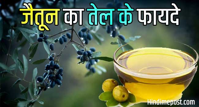 10-olive-oil-in-hindi-meaning