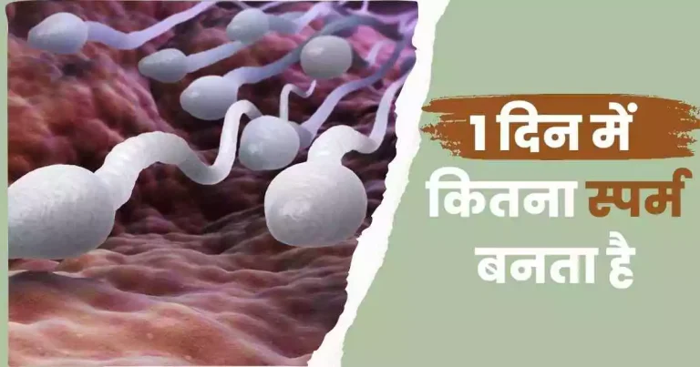 1 दिन में कितना स्पर्म बनता है